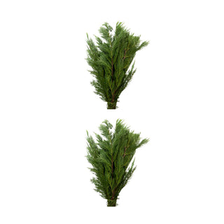 Trendy Holiday combo Green flowers - fresh-cut flowers by Bloomingmore - ideal for weddings and floral events