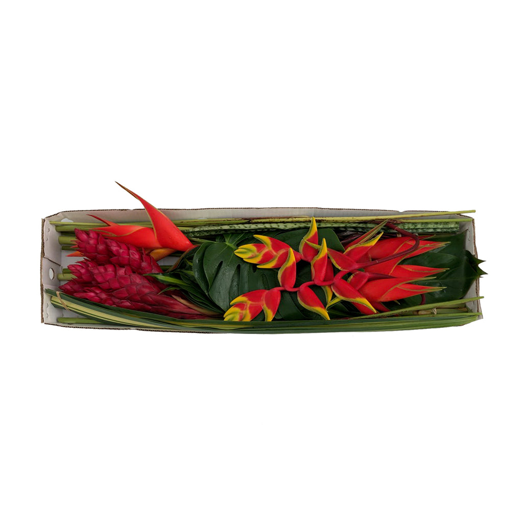 Tropical_Vibes_Box_Bloomingmore_A.jpg?v=1758121590&width=1024
