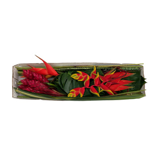 Tropical Vibes Box Tropical flowers - fresh-cut flowers by Bloomingmore - ideal for weddings and floral events