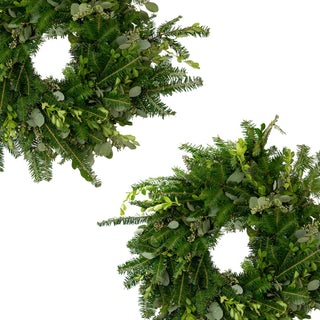 Very Merry Wreath Green flowers - fresh-cut flowers by Bloomingmore - perfect for gifting or decoration