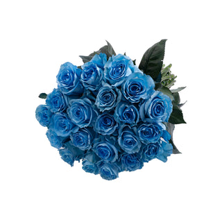 Whisper Painted Roses Blue roses - fresh-cut roses by Bloomingmore - ideal for weddings and floral events