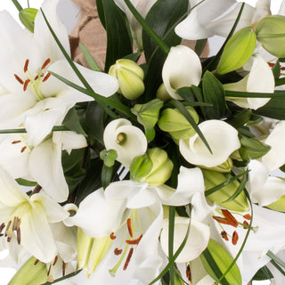 White Blossom Bouquet White flowers - fresh-cut flowers by Bloomingmore - perfect for gifting or decoration
