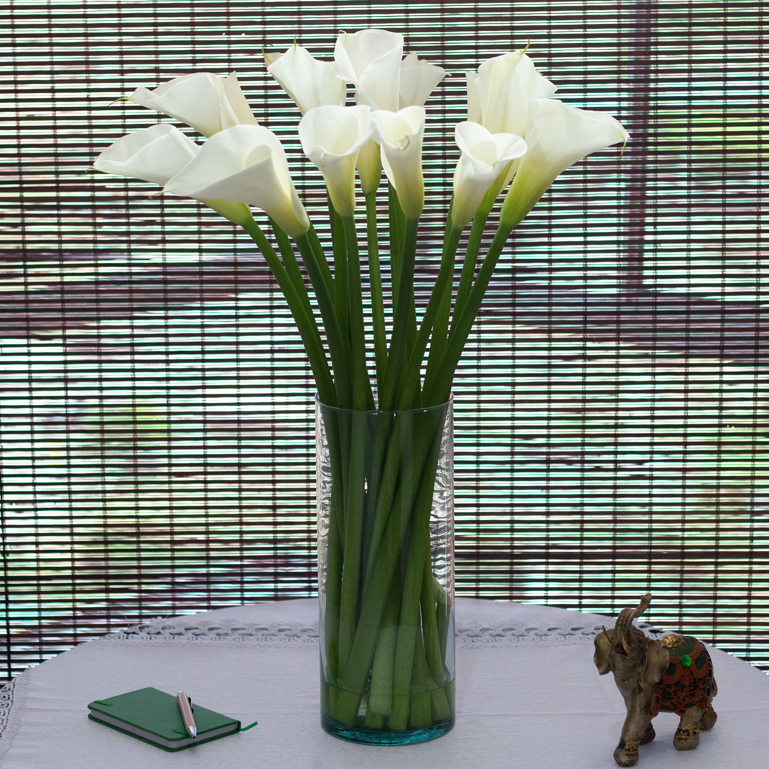white calla lily and sunflower bouquets Standard White Calla Lilies White / 12 Stems