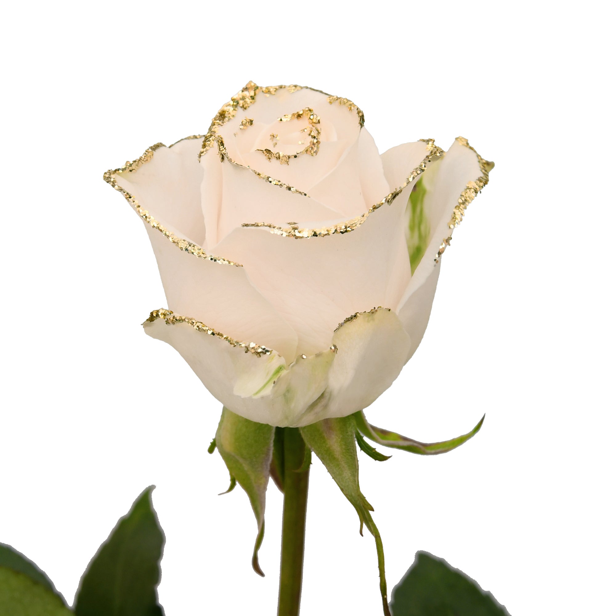 White_Gold_Glitter_Roses_Bloom