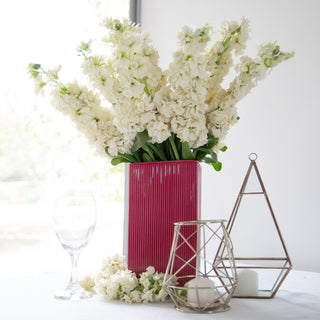 White Stock White flowers - fresh-cut flowers by Bloomingmore - ideal for weddings and floral events