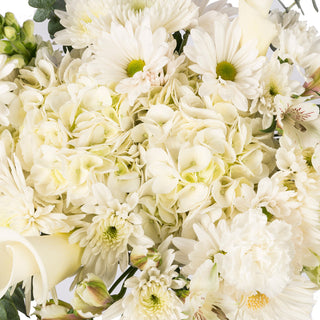 White Whispers White flowers - fresh-cut flowers by Bloomingmore - ideal for weddings and floral events