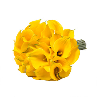 Yellow Mini Calla Lilies Yellow flowers - fresh-cut flowers by Bloomingmore - ideal for weddings and floral events