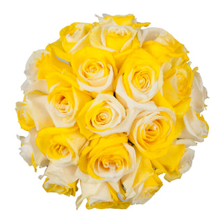 Yellow & White Tinted Roses White roses - fresh-cut roses by Bloomingmore - ideal for weddings and floral events