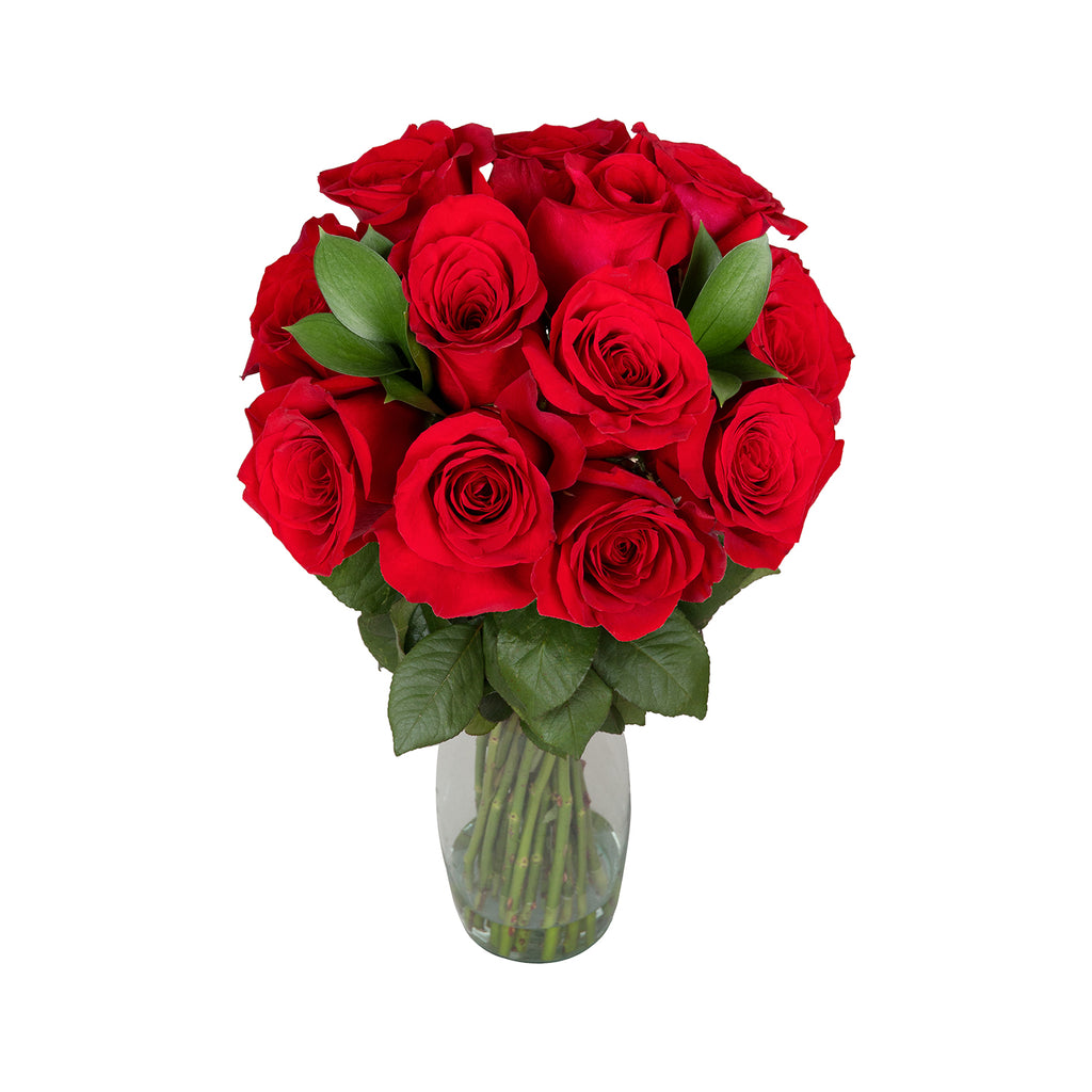 Dazzling Red Roses