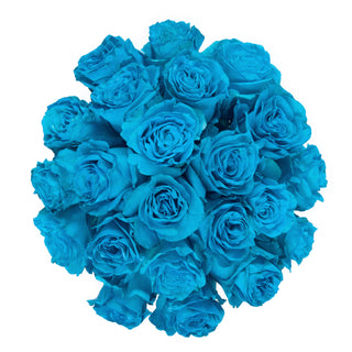 Turquoise Tinted Roses
