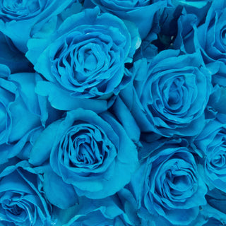 Turquoise Tinted Roses