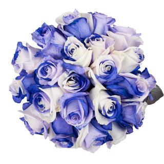 Purple & White Tinted Roses