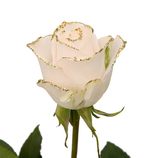 White & Gold Glitter Roses